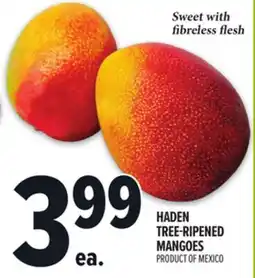 Metro HADEN TREE-RIPENED MANGOES offer
