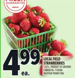 Metro LOCAL FIELD STRAWBERRIES offer