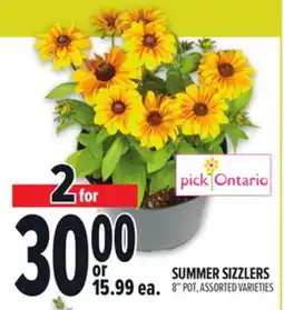Metro SUMMER SIZZLERS offer