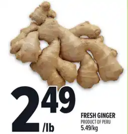 Metro FRESH GINGER offer