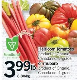 Fortinos HEIRLOOM TOMATOES OR RHUBARB offer