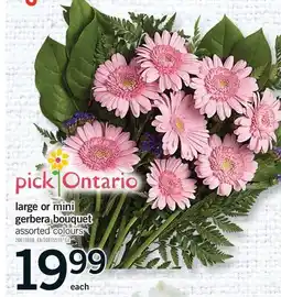 Fortinos LARGE OR MINI GERBERA BOUQUET offer