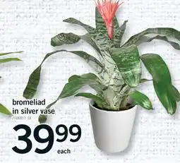 Fortinos BROMELIAD IN SILVER VASE offer