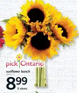 Fortinos SUNFLOWER BUNCH, 5 STEMS offer