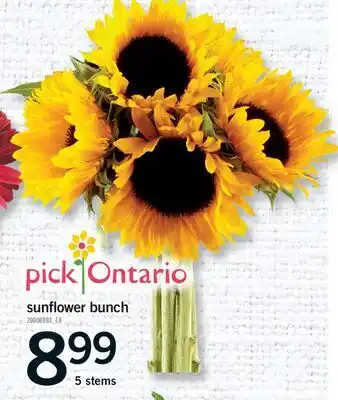 Fortinos SUNFLOWER BUNCH, 5 STEMS offer
