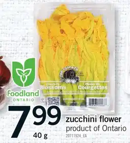 Fortinos ZUCCHINI FLOWER offer