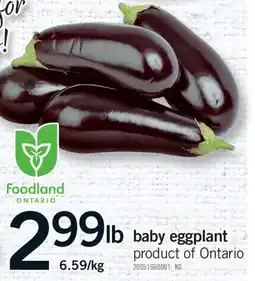 Fortinos BABY EGGPLANT offer