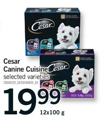 Fortinos CESAR CANINE CUISINE offer