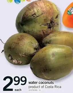Fortinos WATER COCONUTS offer