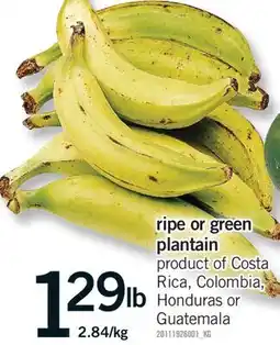 Fortinos RIPE OR GREEN PLANTAIN offer