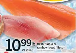 Fortinos FRESH TILAPIA OR RAINBOW TROUT FILLETS offer