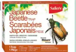 BMR Piège pour scarabée japonais offer