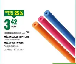 BMR MÉGA NOUILLE DE PISCINE offer