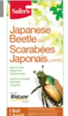 BMR PIÈGE POUR SCARABÉE JAPONAIS offer