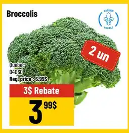 Mayrand Broccolis offer