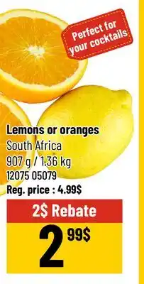 Mayrand Lemons or oranges offer
