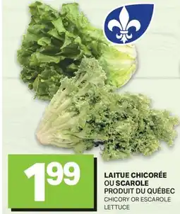 L'Intermarché LAITUE CHICORÉE OU SCAROLE | CHICORY OR ESCAROLE LETTUCE offer
