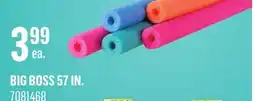 Canac Noodle Pool Float offer