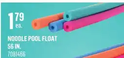 Canac Noodle Pool Float 56 in offer