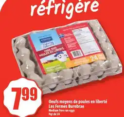 Bonanza Oeufs moyens de poules en liberté offer