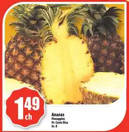 Bonanza Ananas offer