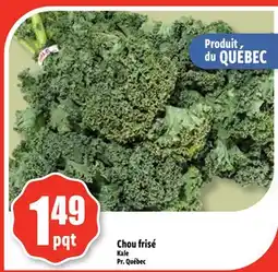 Bonanza Chou frisé offer