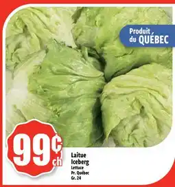 Bonanza Laitue Iceberg offer
