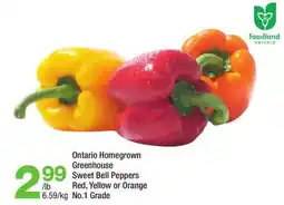 Highland Farms Ontario Homegrown Greenhouse Sweet Bell Peppers offer