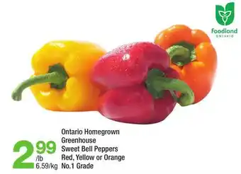 Highland Farms Ontario Homegrown Greenhouse Sweet Bell Peppers offer