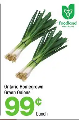 Highland Farms Ontario Homegrown Green Onions offer