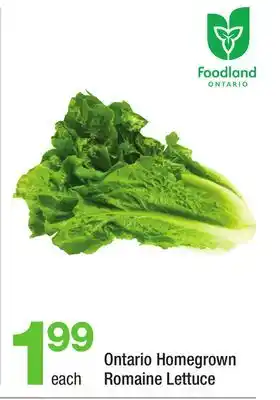Highland Farms Ontario Homegrown Romaine Lettuce offer