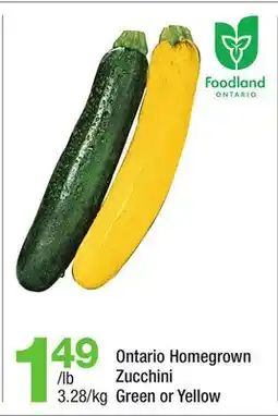 Highland Farms Ontario Homegrown Zucchini offer