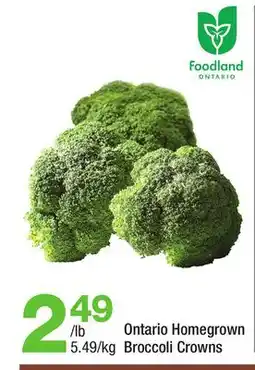 Highland Farms Ontario Homegrown Broccoli Crowns offer