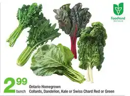 Highland Farms Ontario Homegrown Collards, Dandelion, Kale or Swiss Chard Red or Green offer