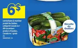 Maxi cornichons à mariner offer
