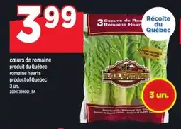 Maxi COEURS DE ROMAINE offer