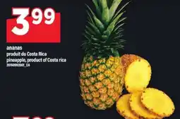Maxi ANANAS offer