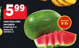 Maxi MELON D'EAU ENTIER SANS PÉPINS offer