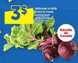 Maxi betteraves en botte offer