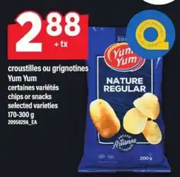 Maxi Yum Yum Nature Regular offer