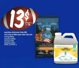 Maxi Purina ONE & Tidy Cats offer