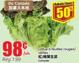 Btrust Supermarket Laitue à feuilles rouges/vertes offer