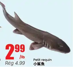 Btrust Supermarket Petit requin offer
