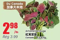 Btrust Supermarket Amarante rouge offer