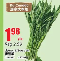 Btrust Supermarket Liseron D'Eau Vert offer