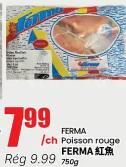 Btrust Supermarket FERMA Poisson rouge offer