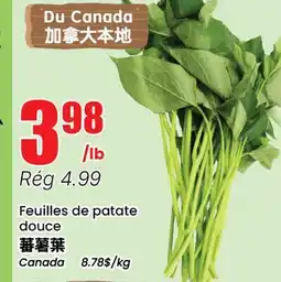 Btrust Supermarket Feuilles de patate douce offer