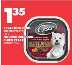 Independent City Market CESAR DOG FOOD offer