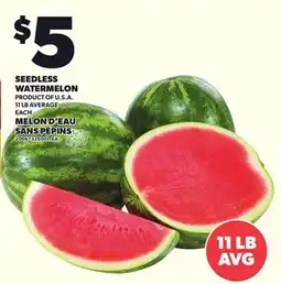 Independent City Market SEEDLESS WATERMELON, 11 LB offer
