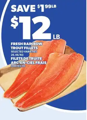Independent City Market FRESH RAINBOW TROUT FILLETS offer